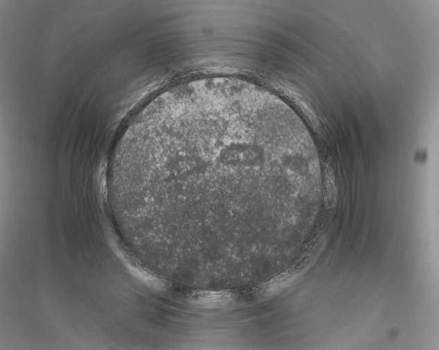 X0000116860398201002021110