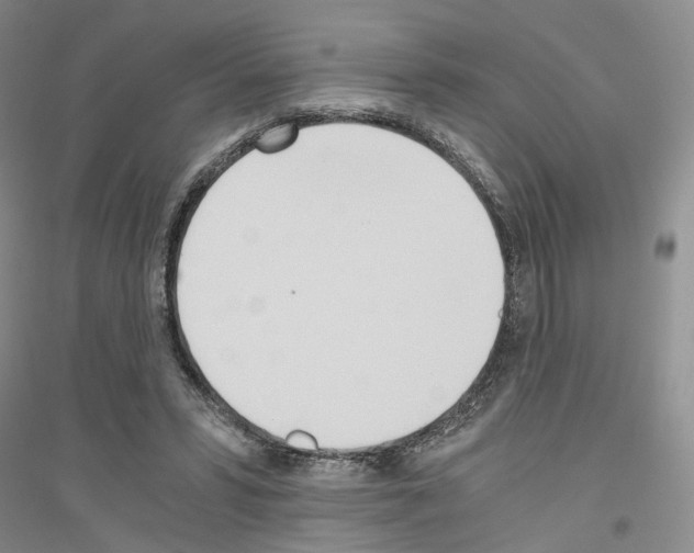 X0000116860399201002021110