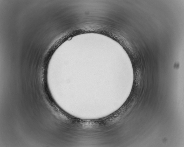 X0000116860400201002021110