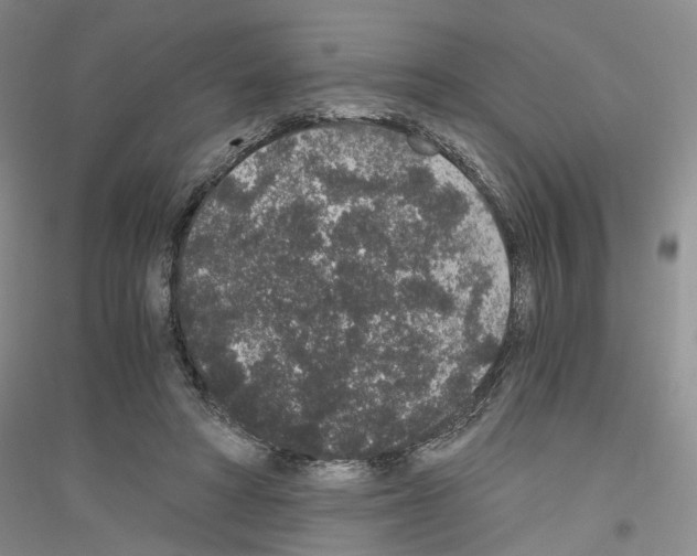 X0000116860402201002021110