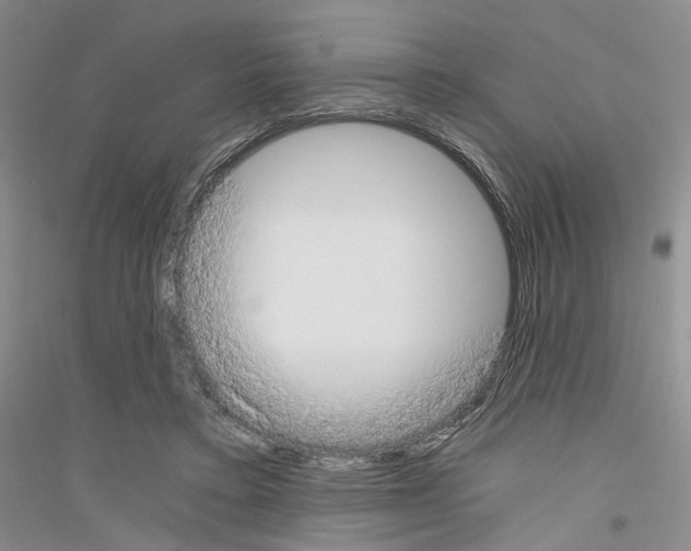 X0000116860403201002021110