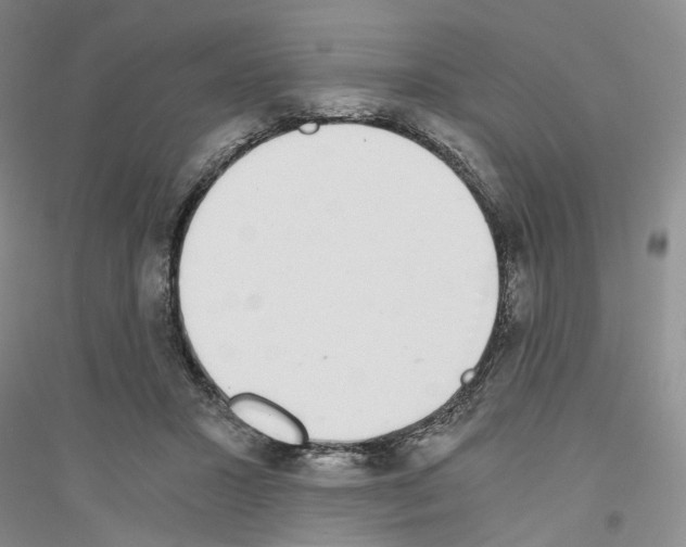 X0000116860407201002021110