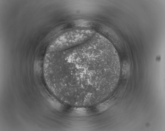 X0000116860409201002021110