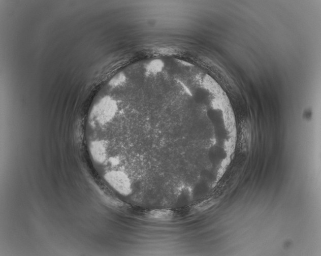 X0000116860410201002021110