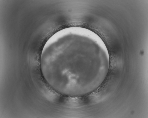 X0000116860411201002021110