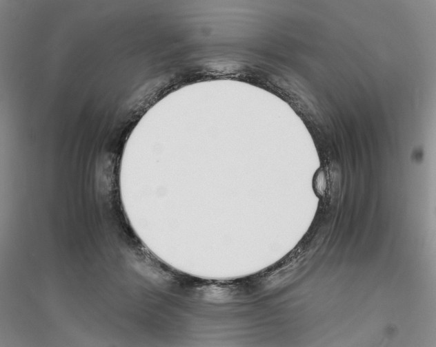 X0000116860412201002021110