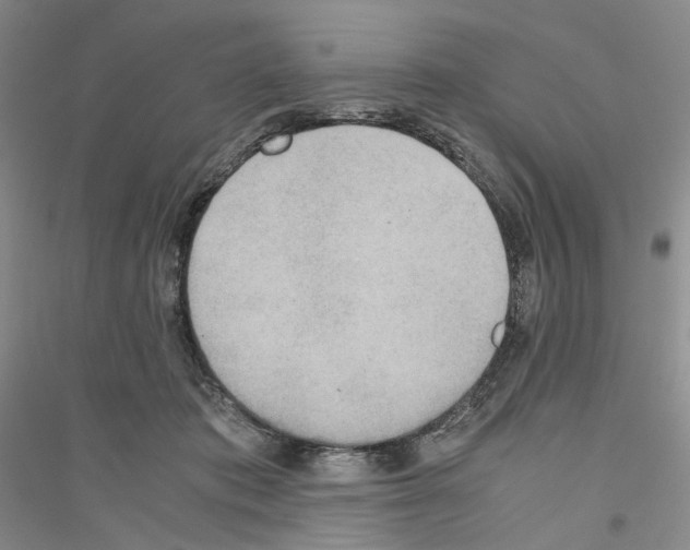 X0000116860413201002021110