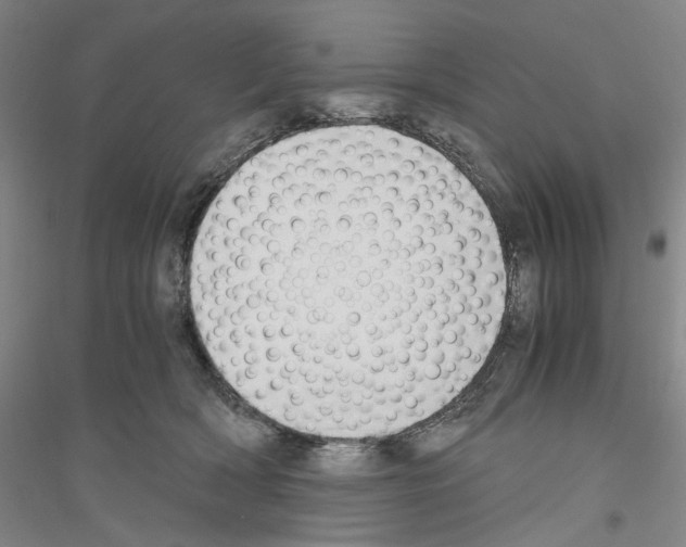 X0000116860418201002021110