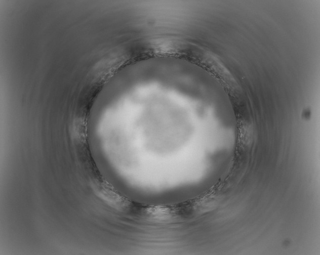 X0000116860419201002021110