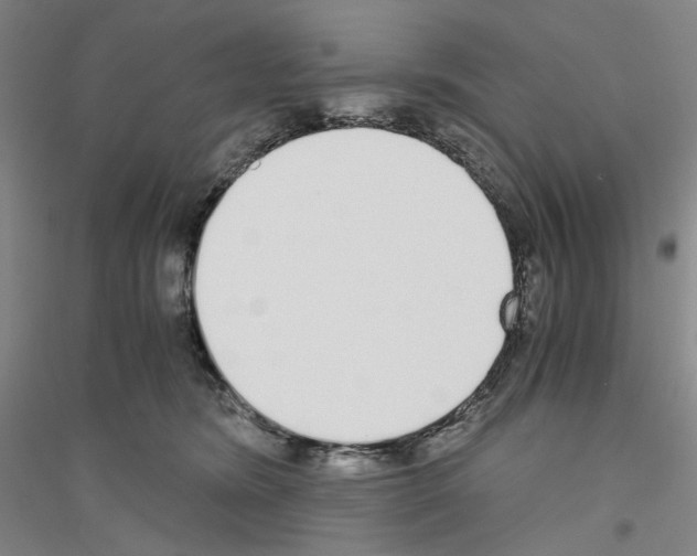 X0000116860420201002021110