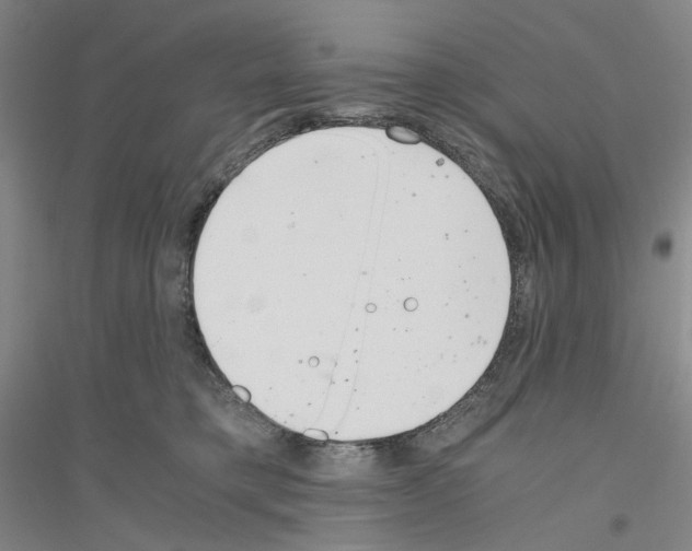 X0000116860421201002021110