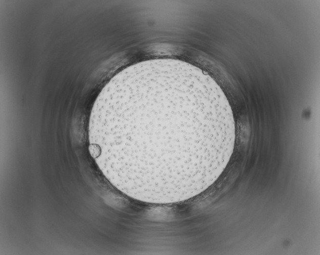 X0000116860422201002021110