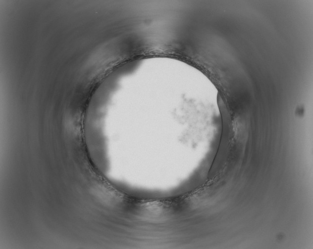 X0000116860423201002021110