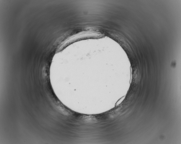 X0000116860424201002021110