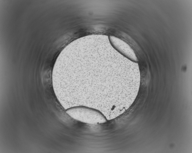 X0000116860425201002021110