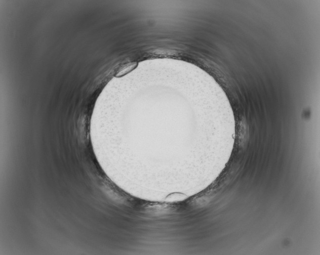 X0000116860428201002021110