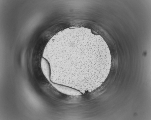 X0000116860429201002021110