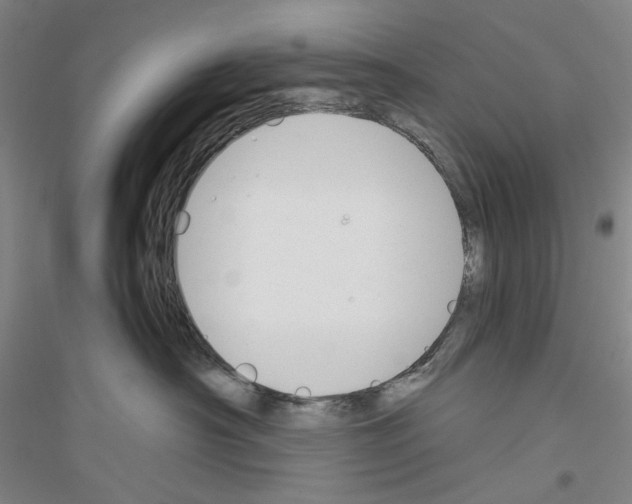 X0000116860430201002021110