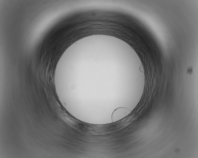 X0000116860431201002021110