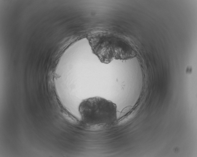 X0000116860432201002021110