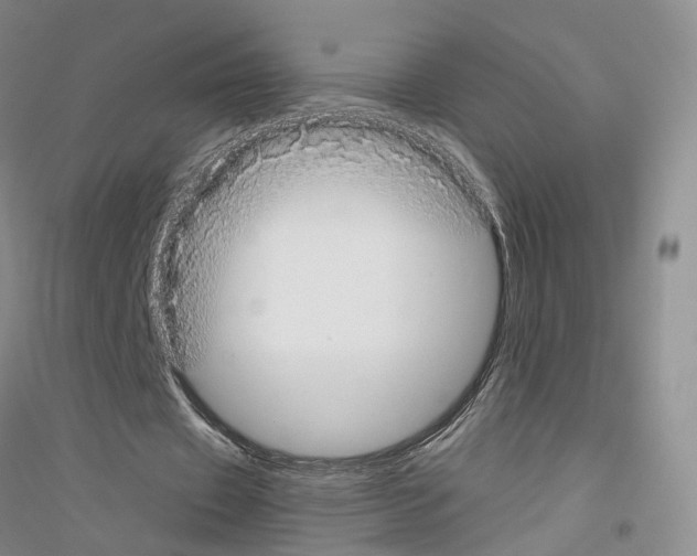 X0000116860433201002021109