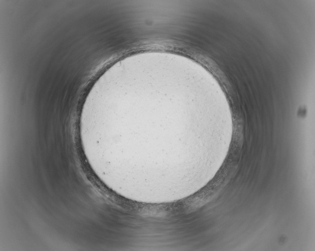 X0000116860434201002021109