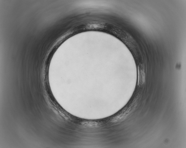 X0000116860435201002021109