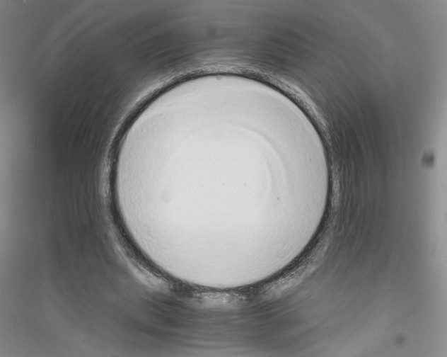 X0000116860439201002021109