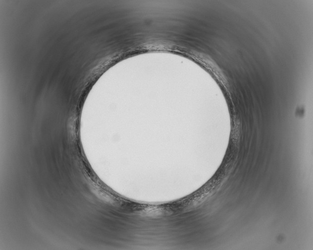 X0000116860441201002021109