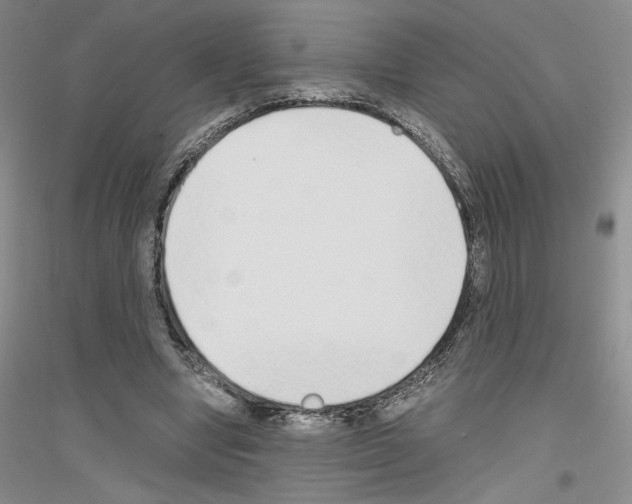 X0000116860442201002021109