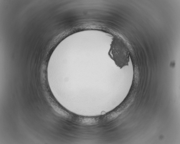 X0000116860445201002021109