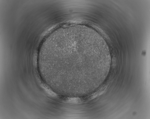 X0000116860446201002021110