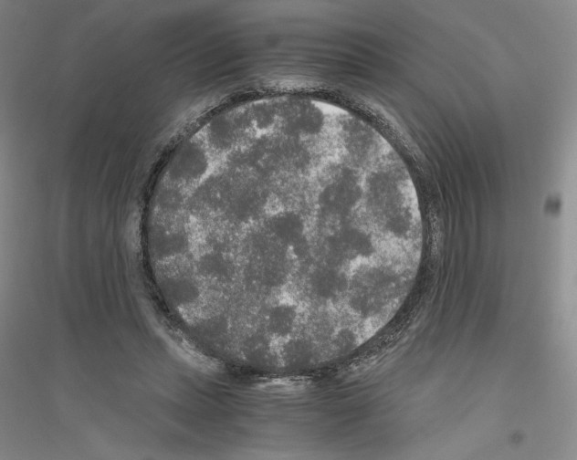 X0000116860447201002021110