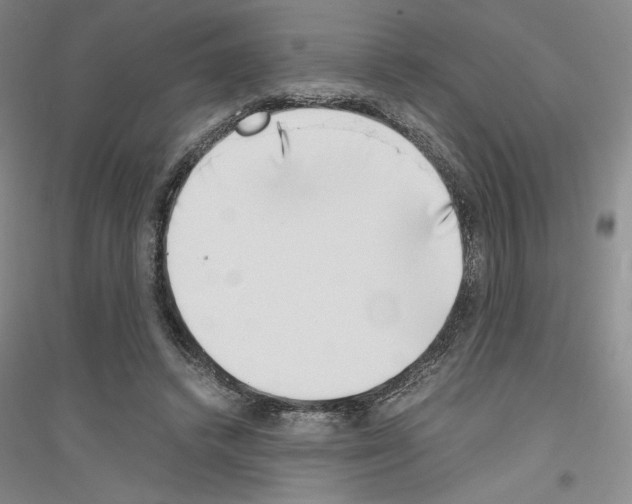 X0000116860448201002021110