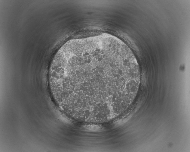 X0000116860449201002021110