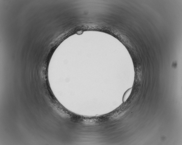 X0000116860450201002021110