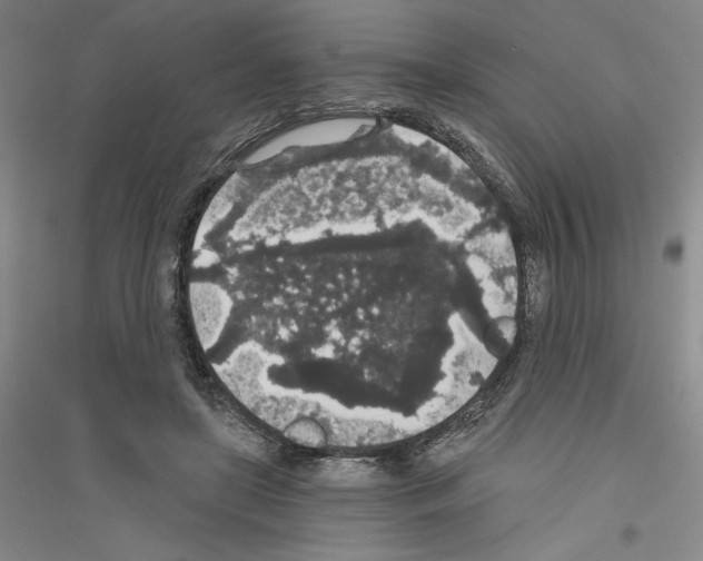 X0000116860451201002021110