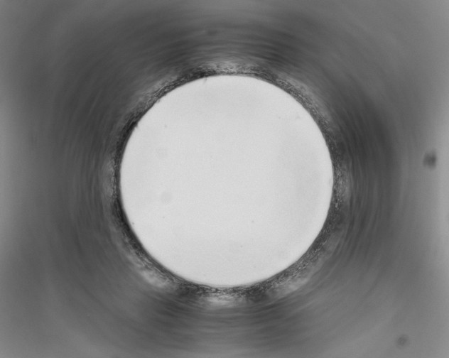 X0000116860453201002021110