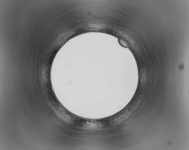 X0000116860455201002021110