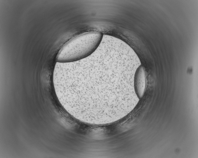 X0000116860456201002021110