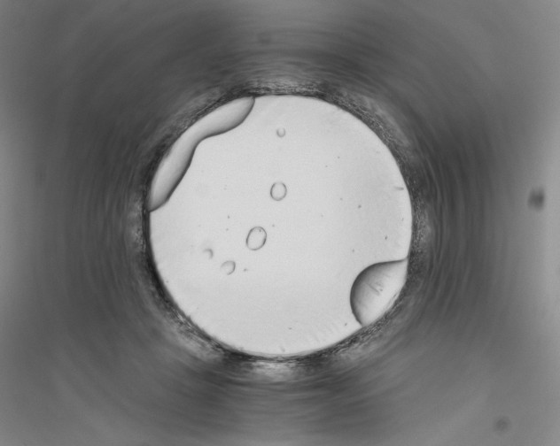 X0000116860457201002021110