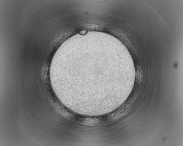 X0000116860458201002021110