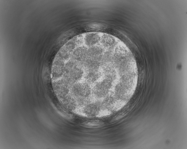 X0000116860459201002021110