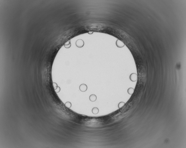 X0000116860460201002021110