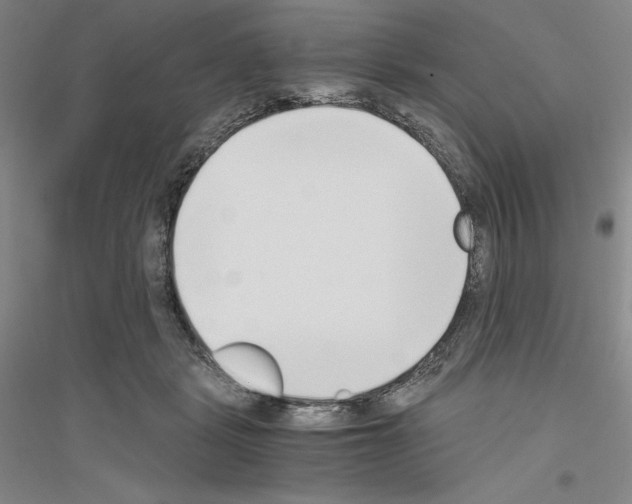 X0000116860461201002021110