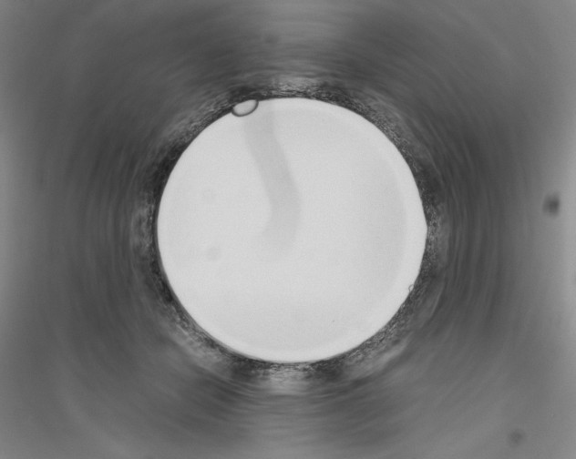 X0000116860462201002021110