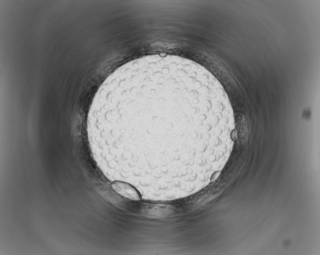 X0000116860463201002021110