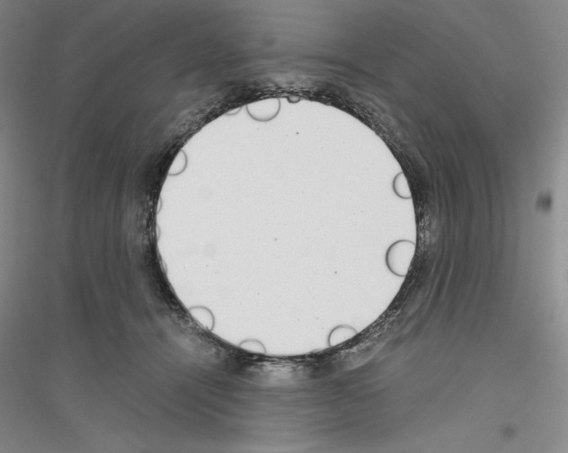 X0000116860464201002021110