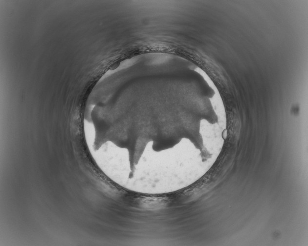 X0000116860465201002021110