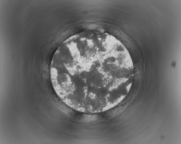 X0000116860469201002021110